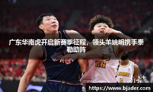 熊猫体育平台
